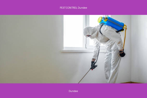 PEST CONTROL Dundee